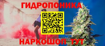 ALPHA PVP Кимры