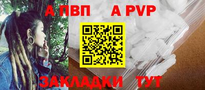 спайс Кингисепп
