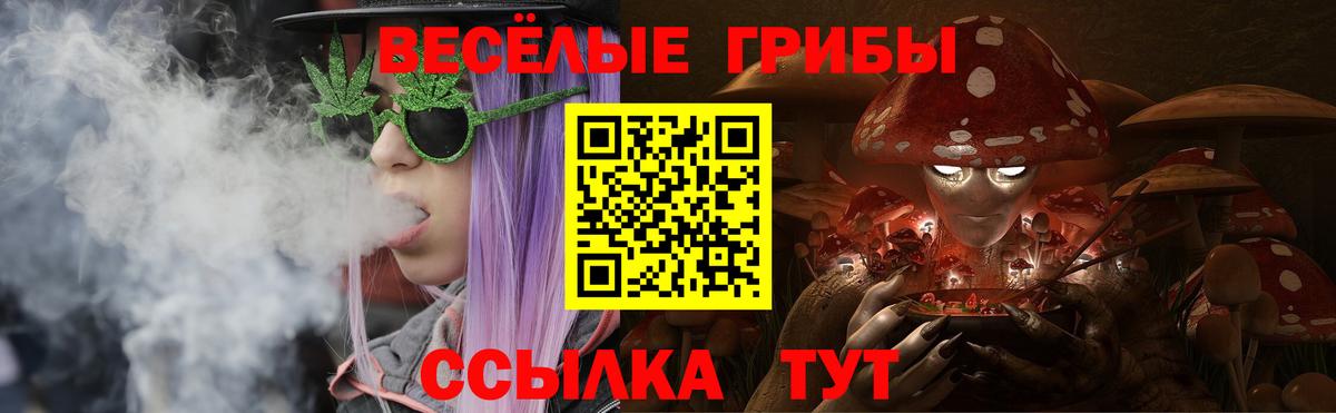 Галлюциногенные грибы мухоморы Куйбышев